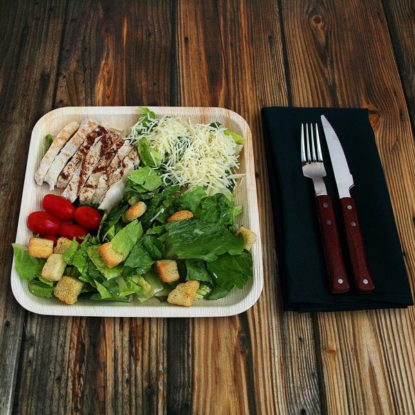 Assiette jetable en palmier