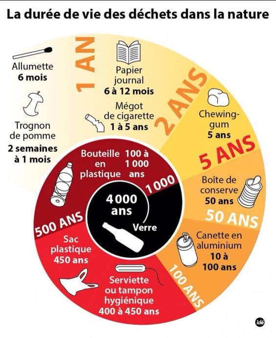 Article blog-La vaisselle en plastique jetable interdite en 2020